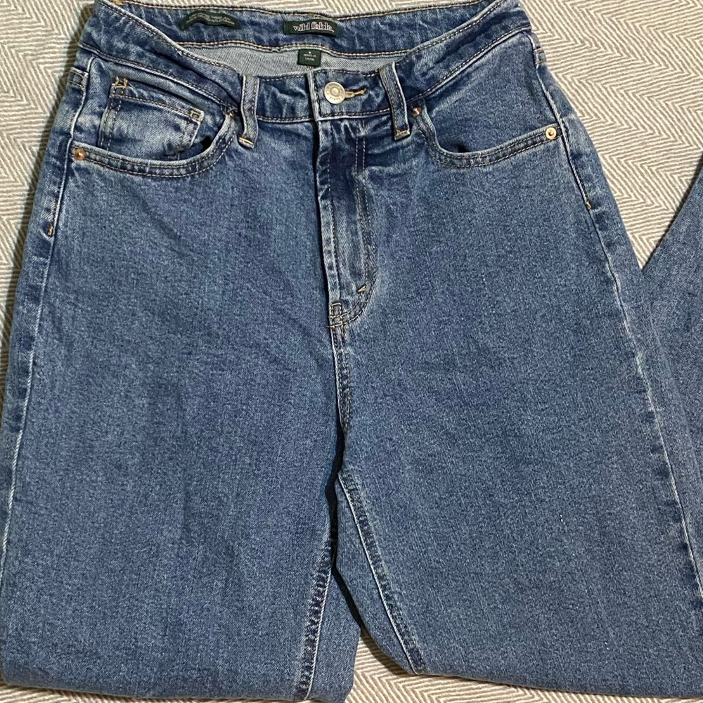 WILD FABLE JEANS